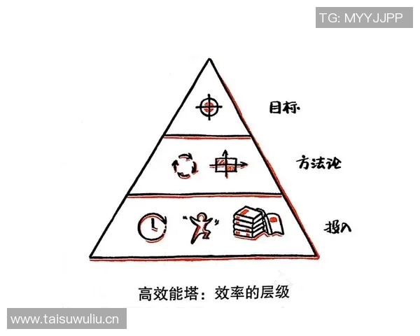 《探秘体育明星背后的努力与挑战，揭秘他们不为人知的一面》